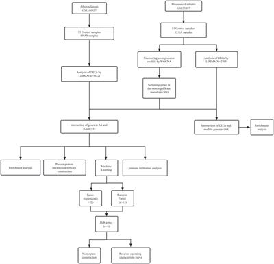 Identification of immune-related genes in diagnosing atherosclerosis with rheumatoid arthritis through bioinformatics analysis and machine learning